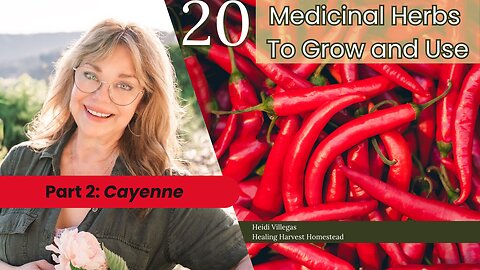 20 Medicinal Herbs to Grow & Use - Part 2: Cayenne