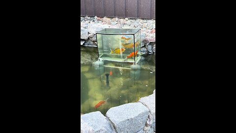 Flight over water