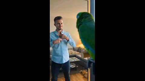 When Your Parrot Fires You From Your Own Life #funny #parrot #funnyparrot #pets #shorts