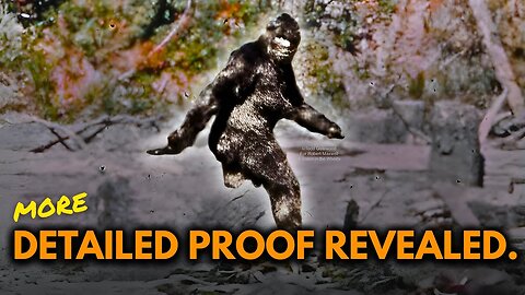 Bigfoot Proof 3 Ironclad Reasons the Patterson-Gimlin Film is Real