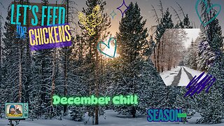 Let's Feed the Chicken | December Chill
