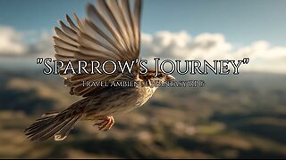 1 Hour Desert Ambient Music │ "Sparrow's Journey" │ Fantasy RPG