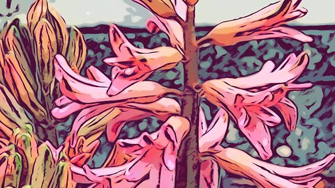 Genesis Chapter 33