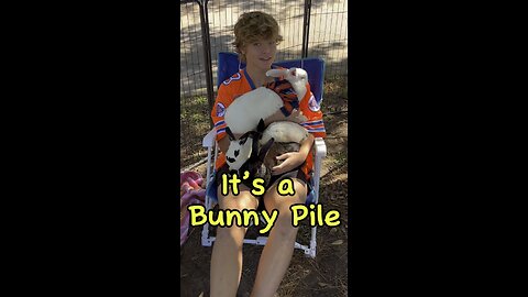 Everyone needs a bunny pile!