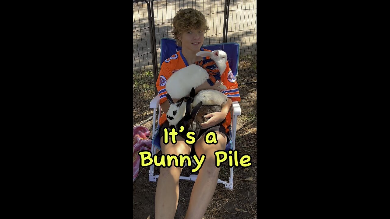 Everyone needs a bunny pile!