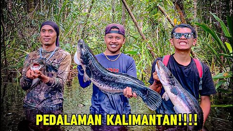 7 Days Hunting for Toman, Channa Maru & Monster Tapah ft @bocahpecicilan