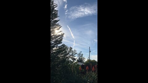 Florida Chemical skyline Again