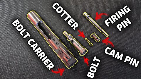 BCG Disassembly & EASY Reassembly with Bolt, Cam Pin, Firing Pin, Extractor, Ejector & Gas Rings