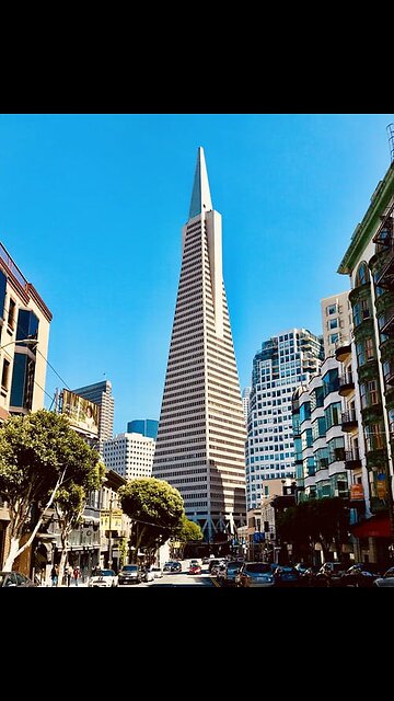 The Pyramid of Power: Hierarchy Chain of Command