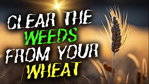 Unlock Your Miracles: Jesus Sananda's Message — Clearing Your Weeds of Unforgiveness — Instant Karma