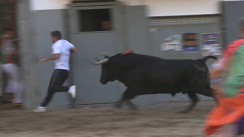 2025 10 23 ONDA FIRA D'ONDA