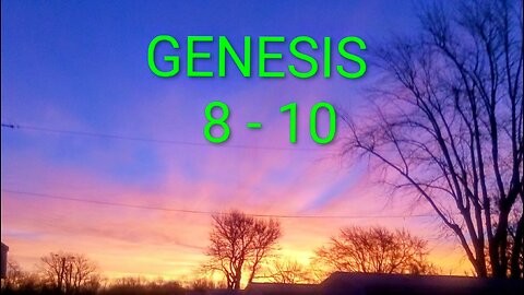 God's everlasting covenant between Him and the earth