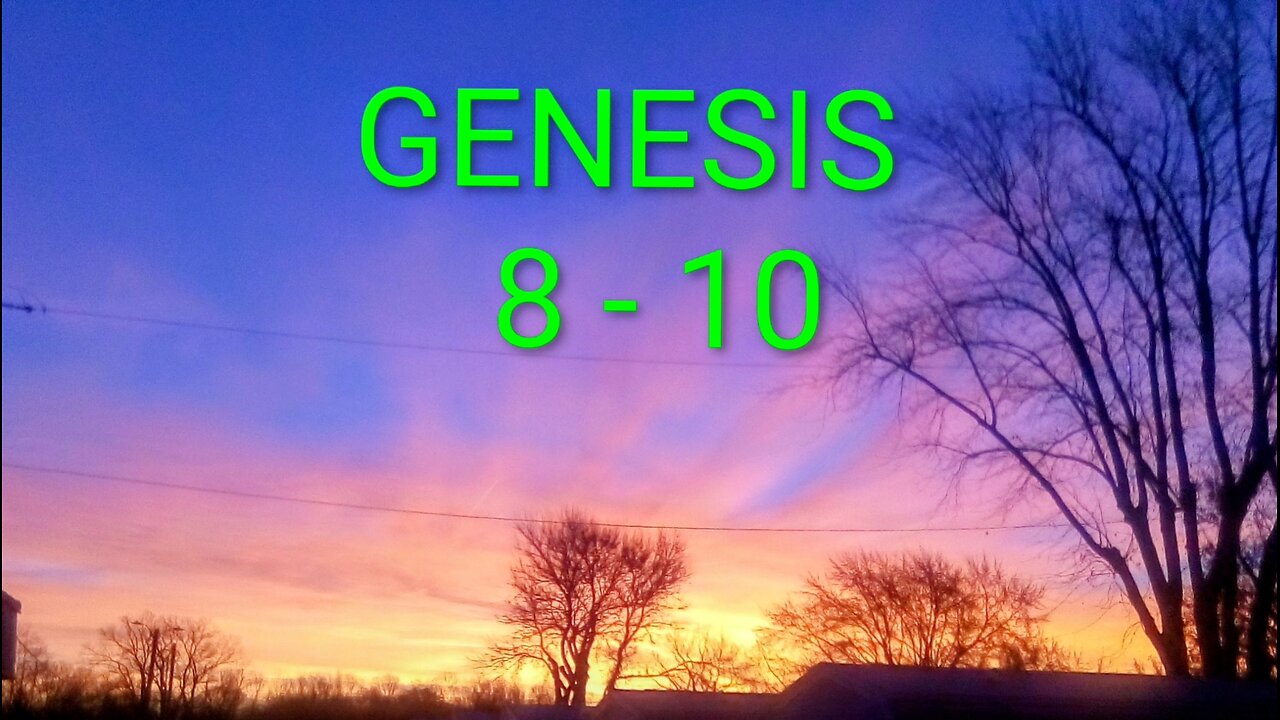 God's everlasting covenant between Him and the earth