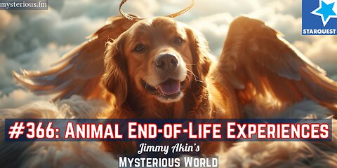 Animal End-of-Life Experiences (Pets, Last Goodbyes, Last Rallies) - Jimmy Akin's Mysterious World