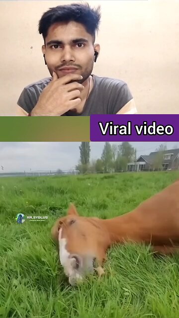 mere dost bhi is tarike se khana khata hai