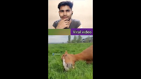 mere dost bhi is tarike se khana khata hai