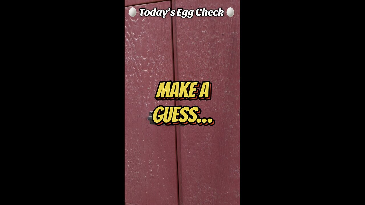 🥚 Today’s Egg Check! 🥚 #shorts