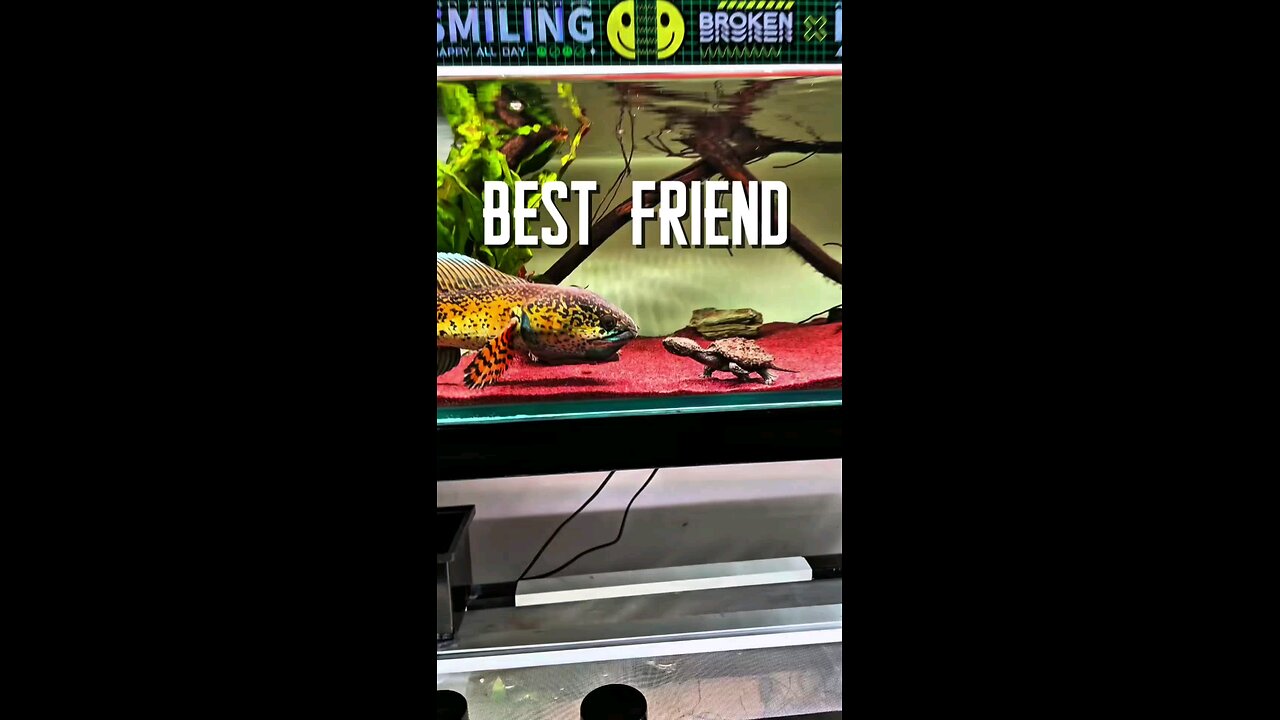 they are good friend