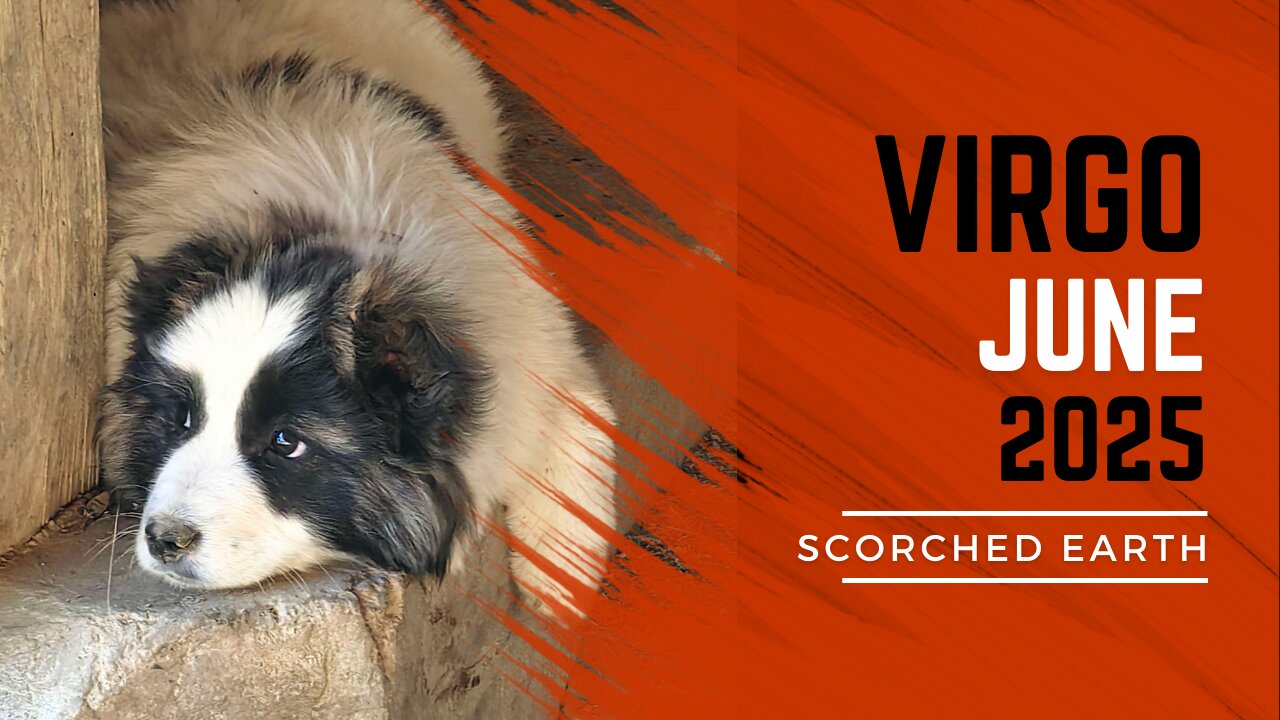 VIRGO || JUNE 2025
