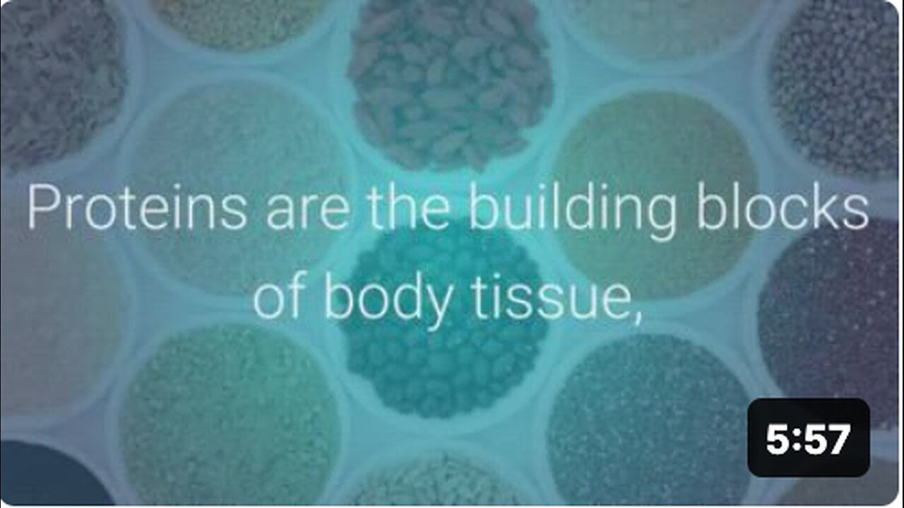 "Top 10 Protein Sources for Vegetarians"