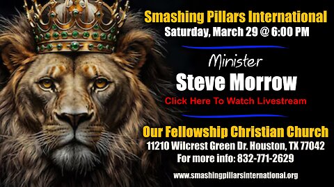 Steve Morrow: Accelerate Your Growth