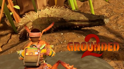 On The Hunt For Milkweed! ~ Grounded 2!
