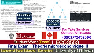 Client Work ( Exam)|ECO3553 Final H24 Full Video | Economics Exam Solution |University of Ottawa BA