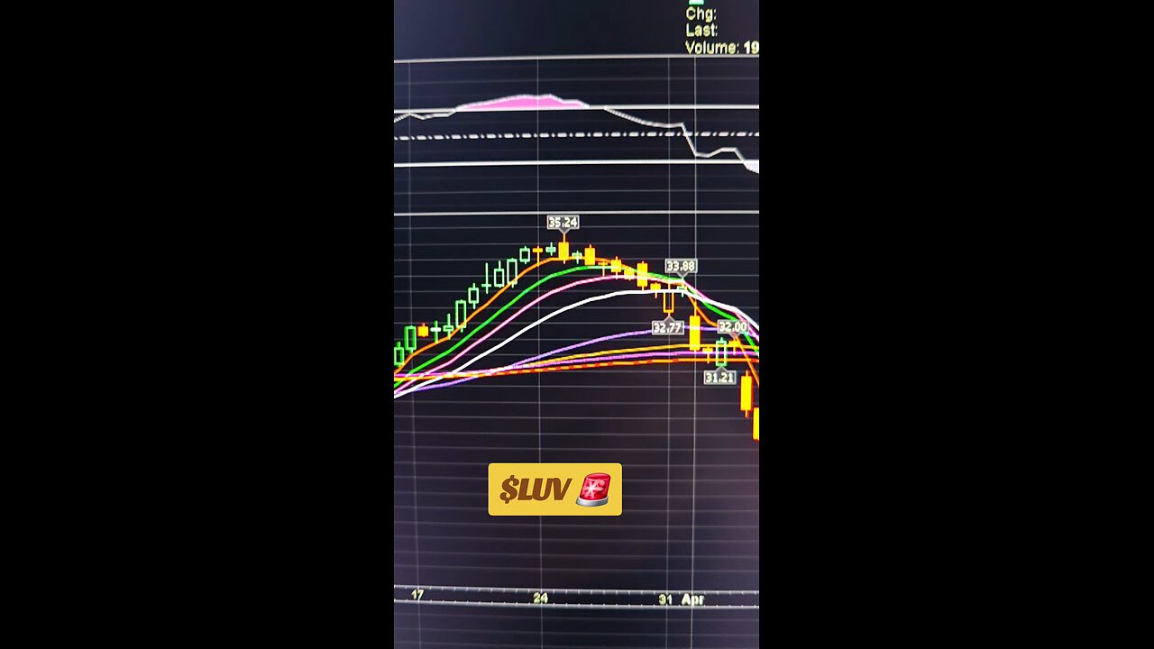 $LUV🚨