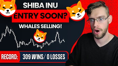 Shiba Inu Buy Signal — But Whales Could Wreck It 🚨