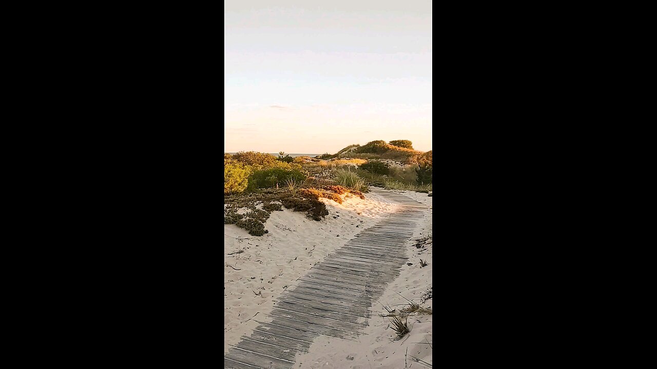 Beautiful Nature 🍃🍄‍🟫🌲 trail