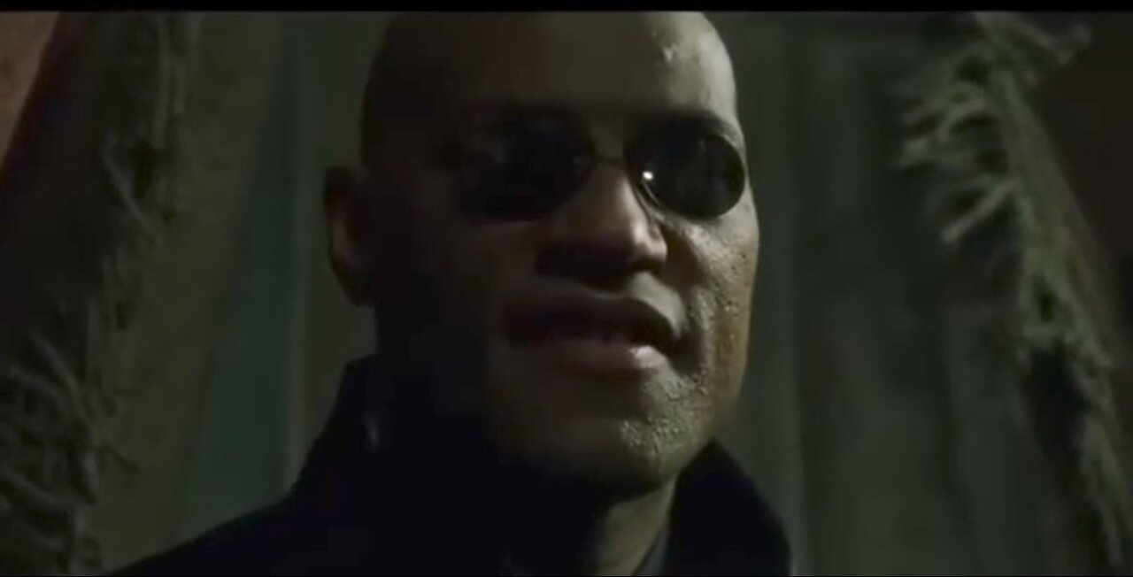 The Matrix:Zion Holds You/Wyatt Stagg