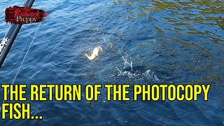 The Return of the Photocopy Fish...