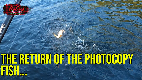 The Return of the Photocopy Fish...