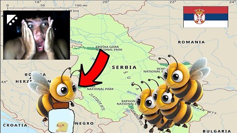 save the bees guys