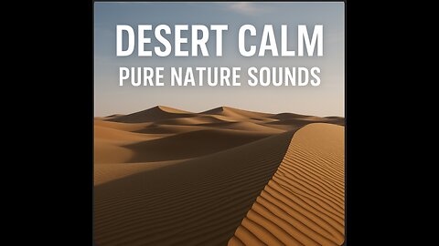 The Magic of the Desert | Peace, Silence, and Sand