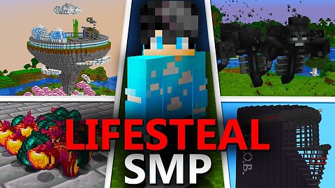 How I Survived the Lifesteal SMP