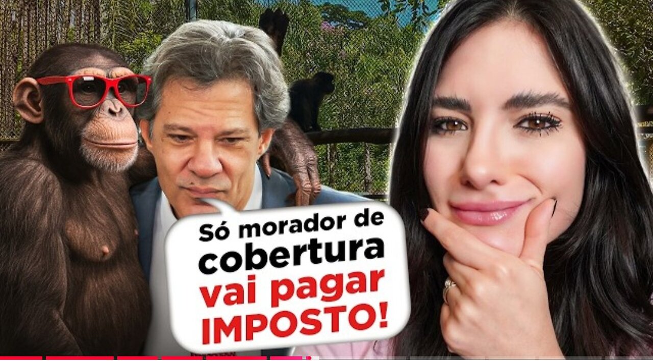 5 fatos que provam que HADDAD tem QI de chimpanzé