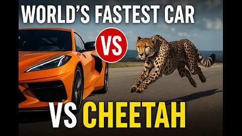 World’s Fastest Car vs Cheetah | Insane Speed Test Challenge