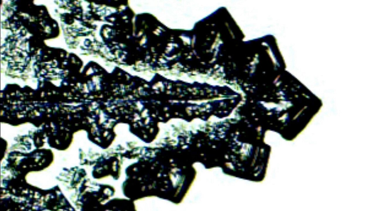 Microscopic analysis mixing blood with saline creates crystals explosion under microscope pt2