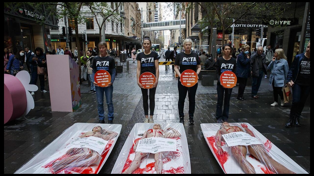 WOMAN WHO SERVED HUMAN MEAT TO CHILREN IN SNACKS ARRESTED FOR SUSPICION OF CANNIBALISM