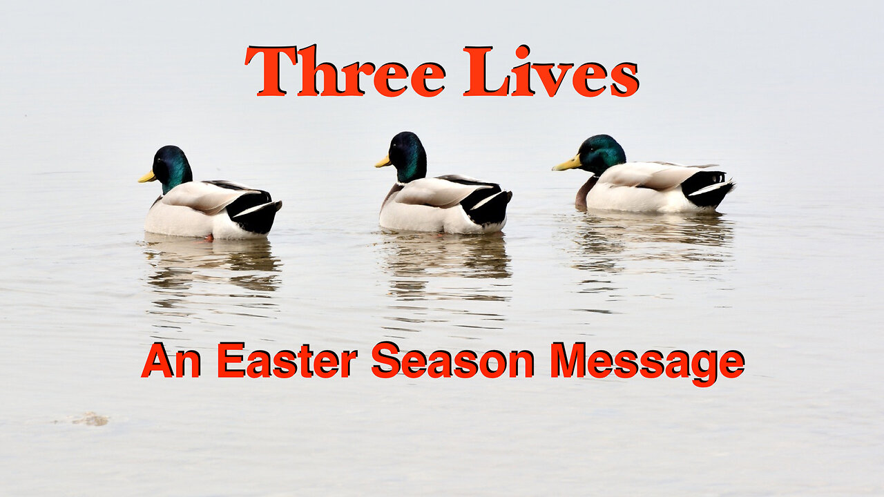 Three Lives (An Easter Season Message)