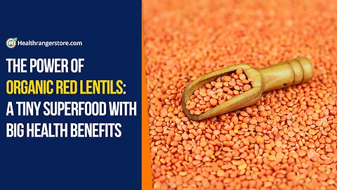 The power of Organic Red Lentils: A tiny superfood with big health benefits