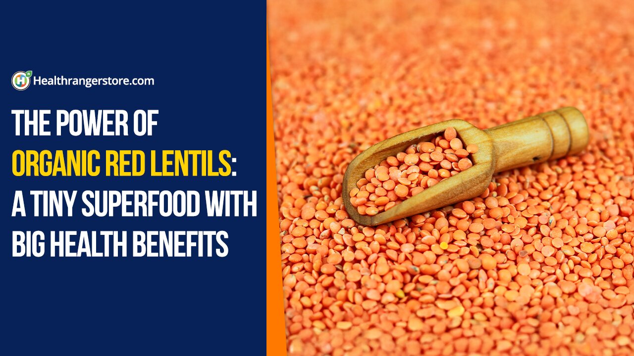 The power of Organic Red Lentils: A tiny superfood with big health benefits