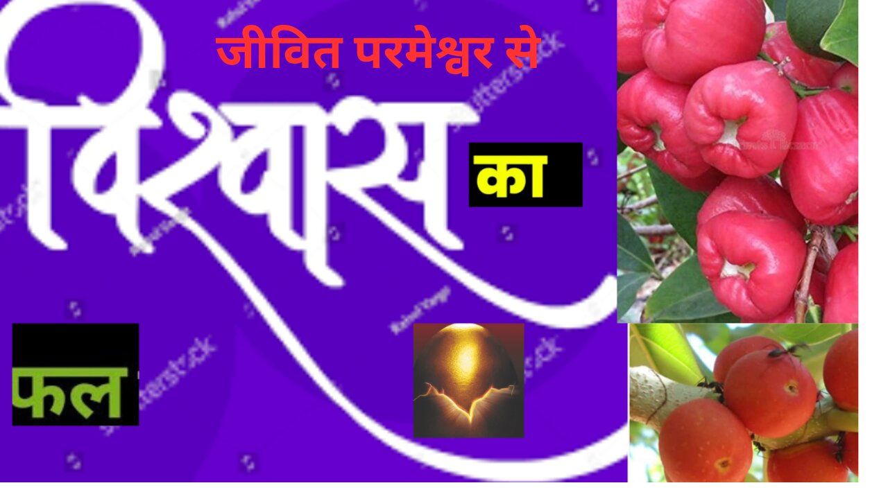 विश्वास का फल