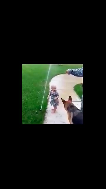 😊 Baby shows dog he needs not fear the sprinkler