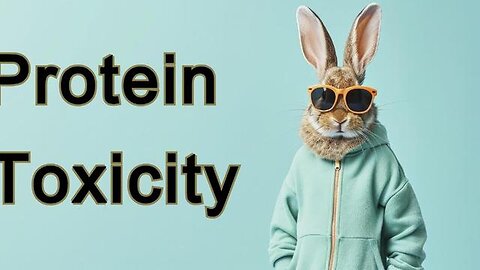 "Understanding Protein Toxicity and Its Effects: The Decanterbury Guide"