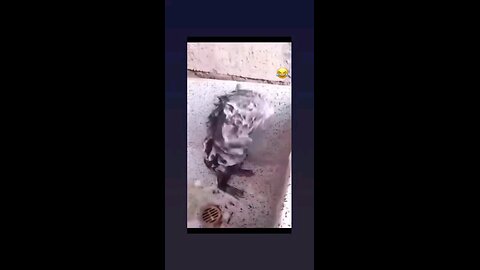 जल्दी निकल मैने भी नहाना है