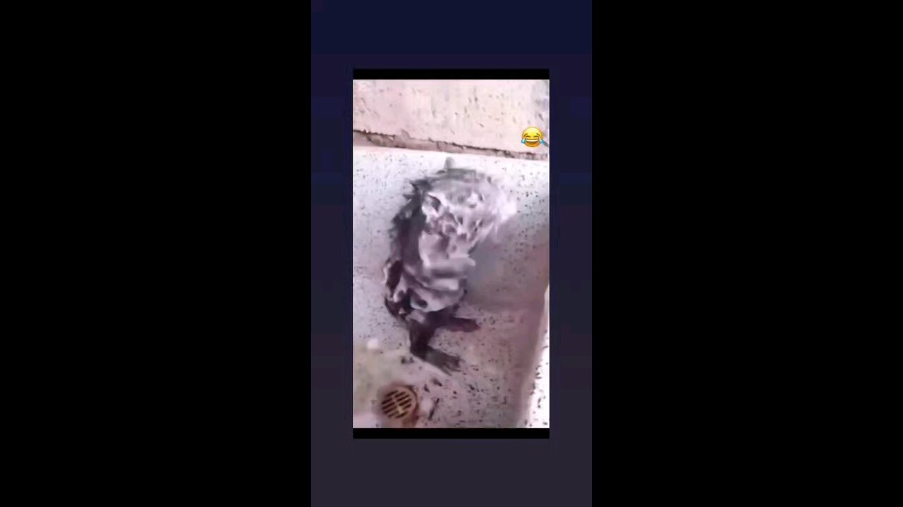 जल्दी निकल मैने भी नहाना है