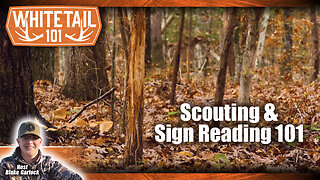 How to Scout for Deer