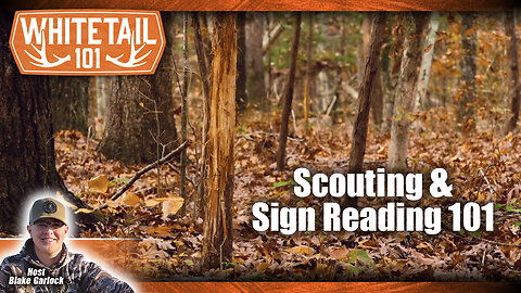 How to Scout for Deer